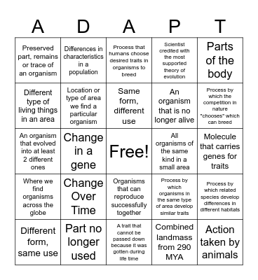 Evolution Vocab Bingo Card