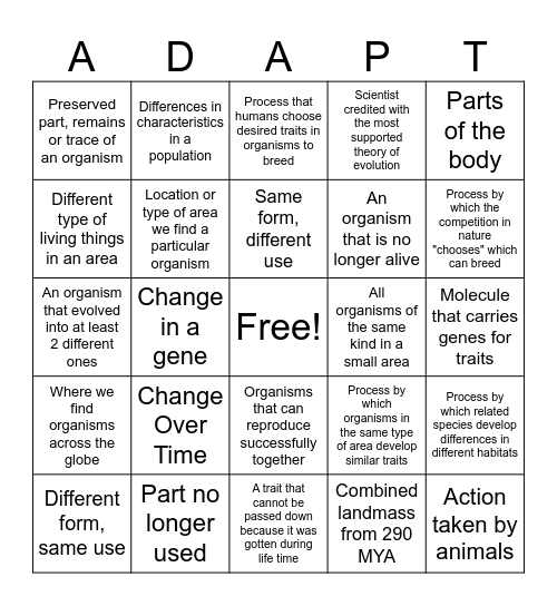 Evolution Vocab Bingo Card