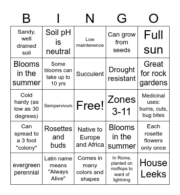 Hens and Chicks Succulent Plant Bingo Card