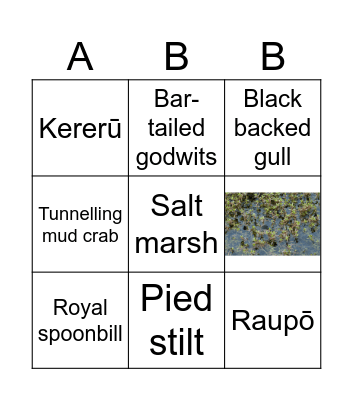 CONSERVATION WEEK Bingo Card