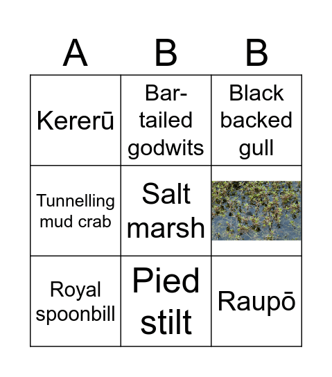 CONSERVATION WEEK Bingo Card