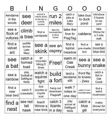 Kids' Summer Adventures Bingo Card