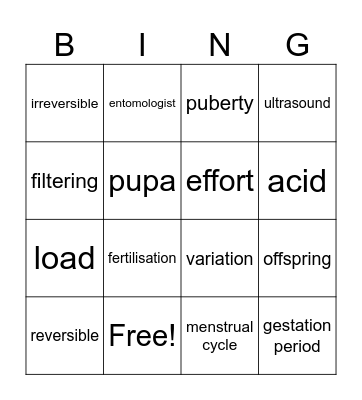 Science Bingo Card