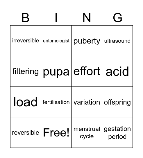 Science Bingo Card