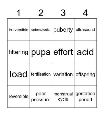 Science Bingo Card