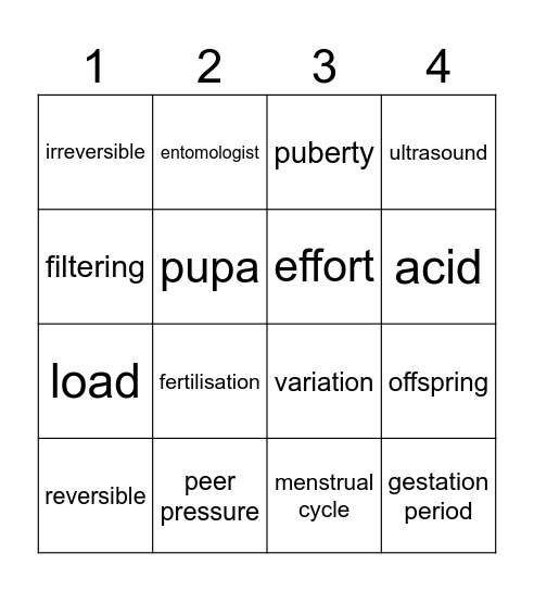 Science Bingo Card