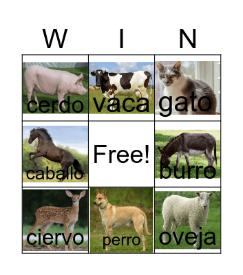 Loteria Animale Bingo Card