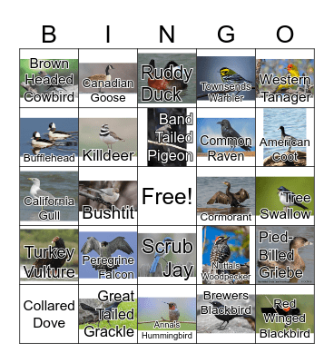 Laguna Grande Park Bird Bingo Card