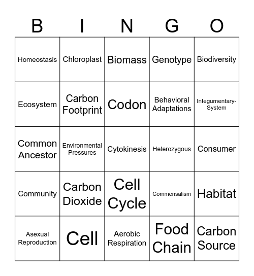 Biology Vocab Review Bingo Card