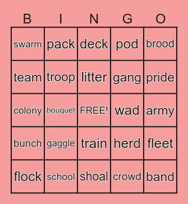 COLLECTIVE NOUNS Bingo Card
