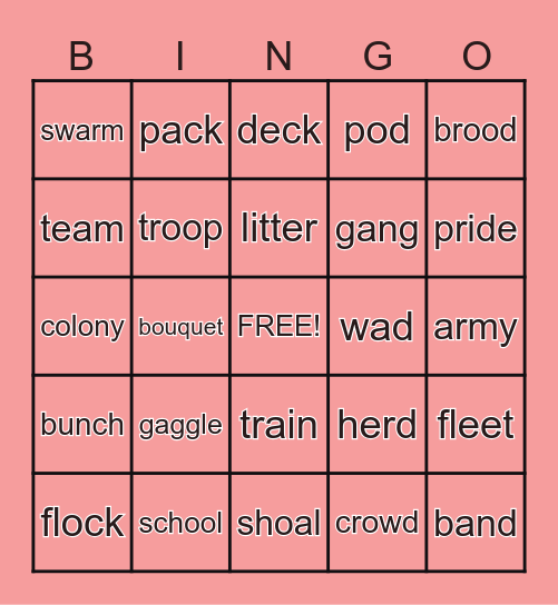COLLECTIVE NOUNS Bingo Card