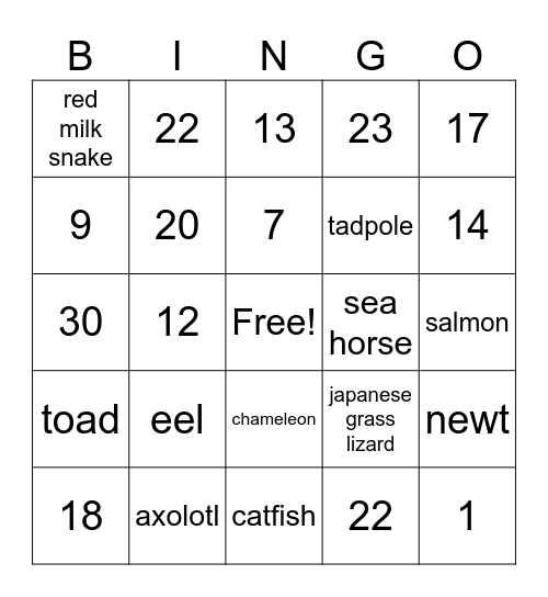 Numbers 1-30 Bingo Card