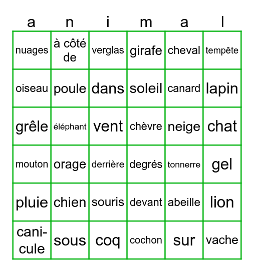 animaux + météo Bingo Card