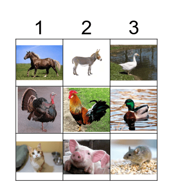 FARM ANIMALS. Príncep de Viana Bingo Card