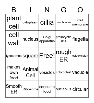 Cell Bingo Card