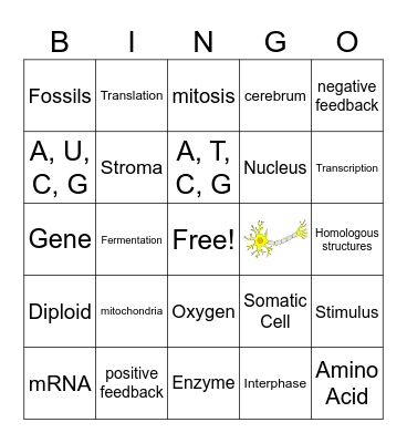 Biology EOC Review Bingo Card