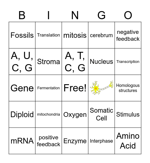Biology EOC Review Bingo Card