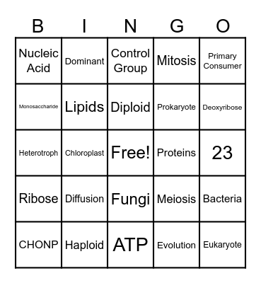 Biology SOL REVIEW Bingo Card