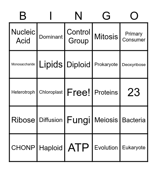 Biology SOL REVIEW Bingo Card