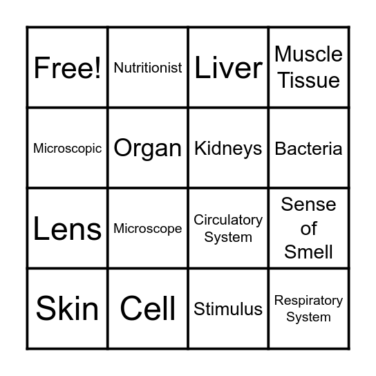 Human Body Bingo Card
