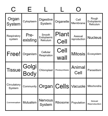 CELLO!!!! Bingo Card