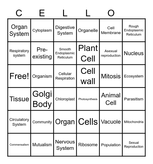 CELLO!!!! Bingo Card