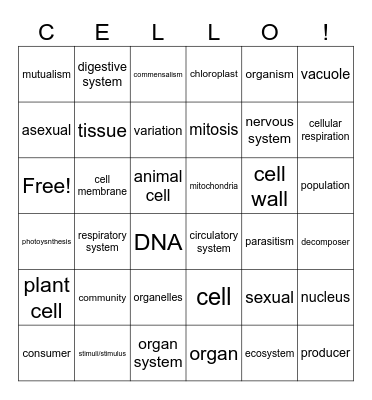 Cello Review Bingo Card