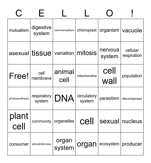 Cello Review Bingo Card