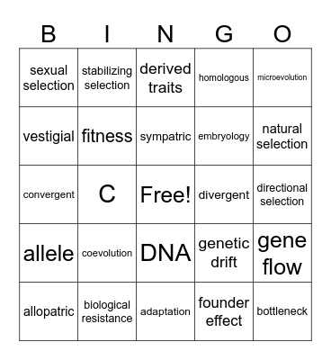 Evolution Bingo Card