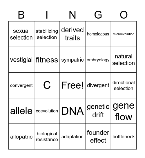 Evolution Bingo Card