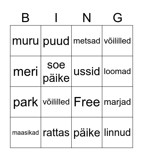 Kevad Bingo Card