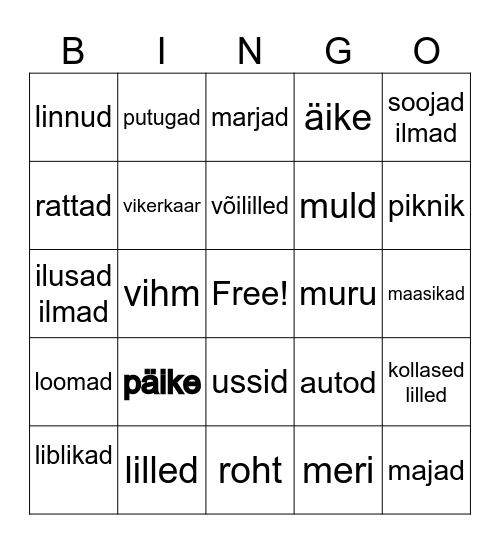 kevad Bingo Card
