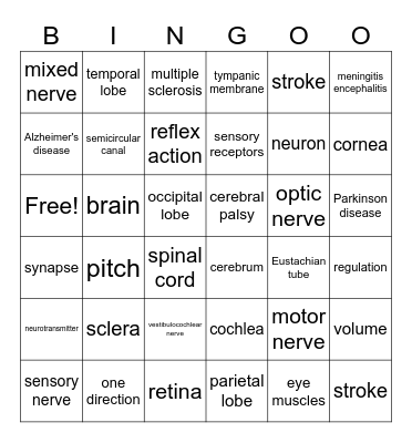 Nervous System Bingo Card