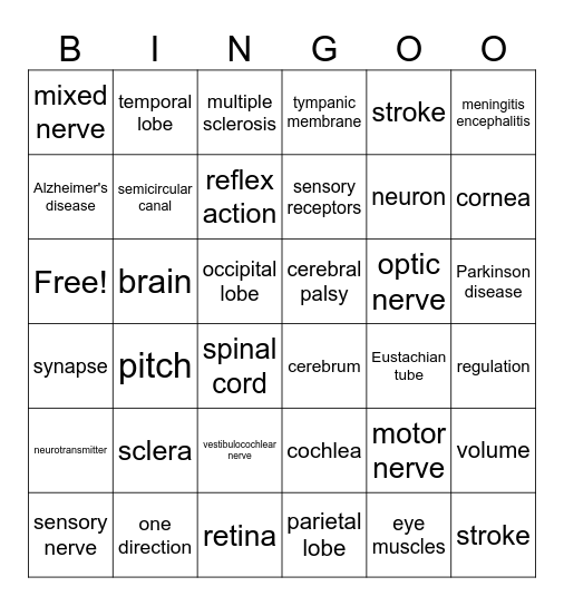 Nervous System Bingo Card