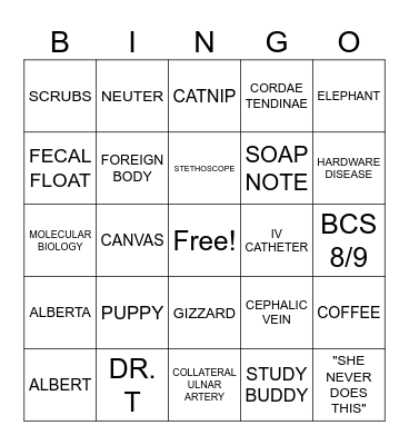 VET STUDENT BINGO! Bingo Card