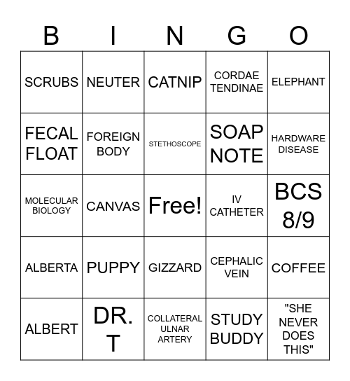 VET STUDENT BINGO! Bingo Card