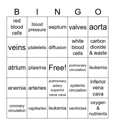 Circulatory System bingo Card
