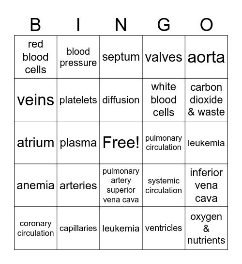 Circulatory System bingo Card