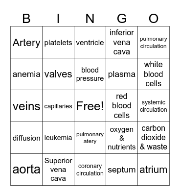 Circulatory system Bingo Card