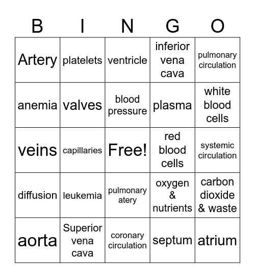 Circulatory system Bingo Card