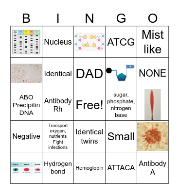 Blood and DNA review bingo Card