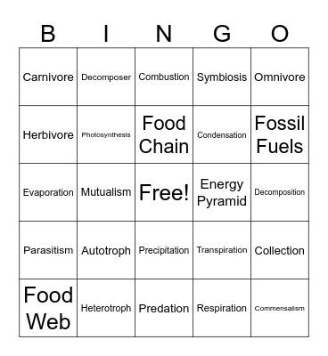 Ecology Bingo Card