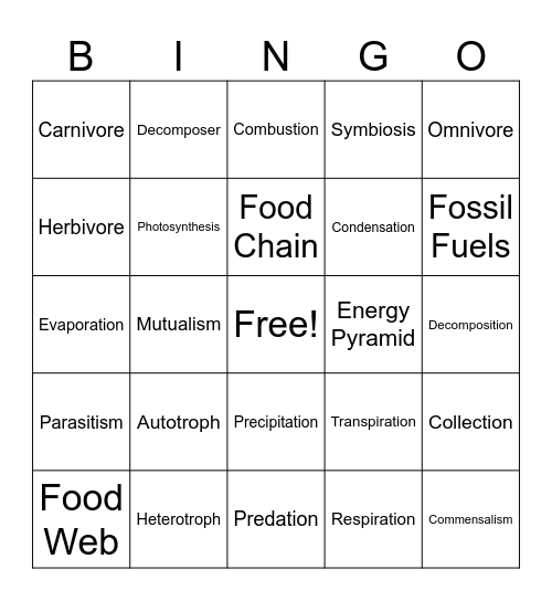 Ecology Bingo Card