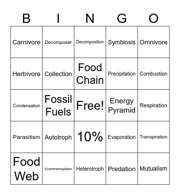Ecology Bingo Card