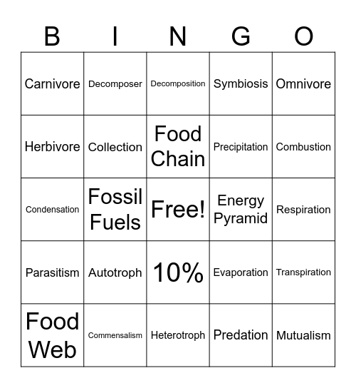 Ecology Bingo Card