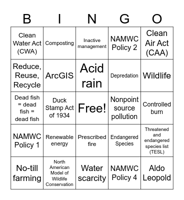 Sustainability Bingo Card