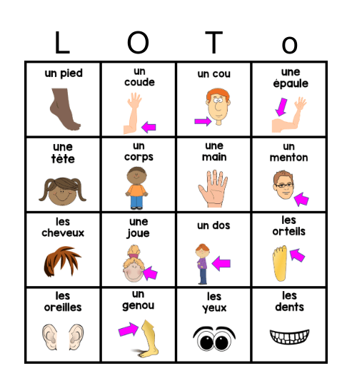 Les Parties du Corps Bingo Card