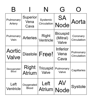 Circulatory System Bingo Card