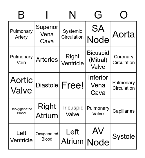 Circulatory System Bingo Card