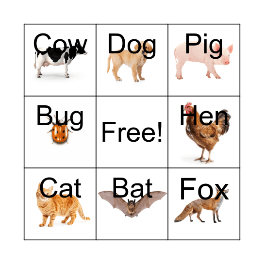 CVC BINGO Card